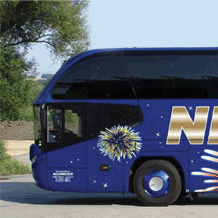 bus_quadratisch