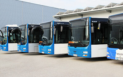 Linienbusse im einheitlichen Design