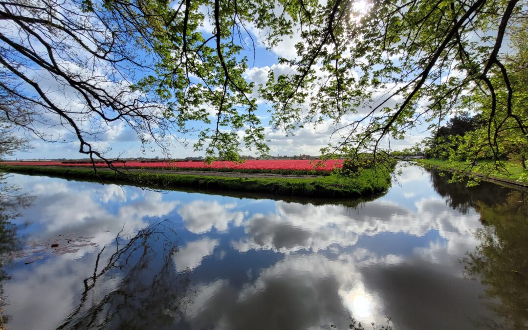Impressionen – Niederlande  /  Amsterdam
